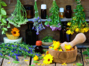 Herbes médicinales et fleurs