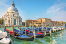 Santa Maria della Salute et les Gondolas à Venise