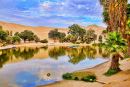 Oasis de Huacachina au matin, Pérou