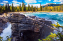 Puissantes chutes d’Athabasca dans le parc national de Jasper, AB, Canada