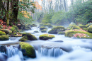 Parc national des Great Smoky Mountains, États-Unis