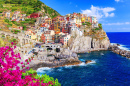 Manarola, parc national des Cinque-Terre, Italie