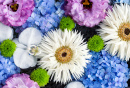 De magnifiques fleurs flottant sur l’eau