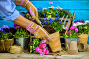Jardinage