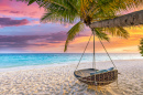 Magnifique coucher de soleil sur une plage tropicale