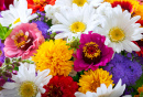 Gros plan des fleurs d’été