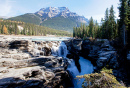 Chutes d’Athabasca dans le parc national de Jasper