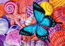Papillon sur coquillages