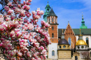 Château de Cracovie par une journée ensoleillée de printemps