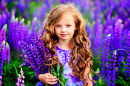Petite fille dans un champ de lupins