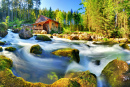 Paysage avec cascade et moulin, Alpes de Golling