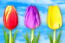 De magnifiques tulipes contre un ciel bleu