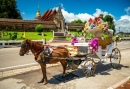 Tournée en calèche tirée par des chevaux à Lampang, Thaïlande