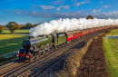 Balade vintage en train à vapeur