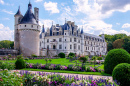 Château de Chenonceau dans la vallée de la Loire, France