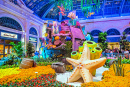 Conservatoire et jardins botaniques de l’hôtel Bellagio