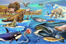 Faune de la toundra et de l’océan Arctique