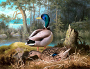 Canards par Ferdinand von Wright (1873)