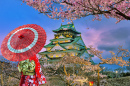Cerisiers en fleurs autour du château d’Osaka au crépuscule, Japon