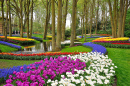 Le parc coloré de Keukenhof aux Pays-Bas