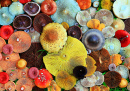 Différents champignons forestiers en gros plan