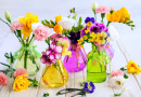 De magnifiques fleurs fraîches dans des bouteilles en verre