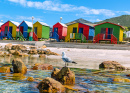 Maisons de plage colorées à Muizenberg, Le Cap