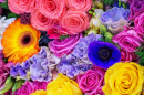 Fond floral coloré