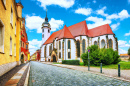 Vue pittoresque de Torgau, Allemagne