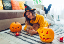 Moments douillets d’Halloween