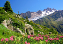 Vue des Alpes de Savoie, Europe