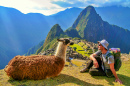 Touriste et lama, Machu Picchu, Pérou