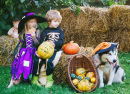 Fête de jardin d’Halloween