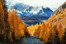 Vue de la taïga d’automne, République de l’Altaï, Russie