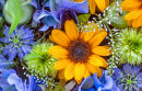 Fleurs et fruits flottant sur l’eau