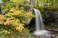 Couleur d'automne et Scott Falls
