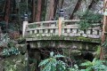 Pont du temple Naritasan Shinsho-ji, Japon