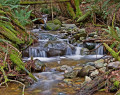 Chuckanut, Washington, États-Unis