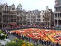 Tapis de Fleurs, Bruxelles