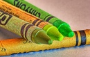 Crayons verts