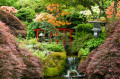Jardin japonais