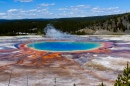 Source prismatique, Yellowstone NP